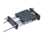 二本ガイド付複動形