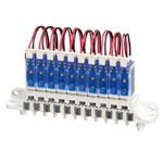 プチ バルブ(Petit Valve)