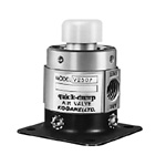 V_MANUAL_PUSH_BUTTON - 押ボタン式 真空手動作動弁